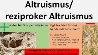 Altruismus altruistisches Verhalten reziproker Altruismus Biologie Oberstufe [upl. by Gerc]