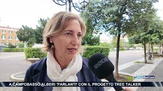 A Campobasso alberi parlanti con il progetto Tree Talker [upl. by Teiluj881]