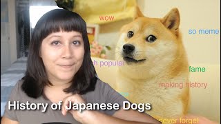 The History of Native Japanese Dog Breeds [upl. by Enaile138]