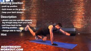 contralateral limb raise bodyweight exercise madbarz exercises [upl. by Clarice154]