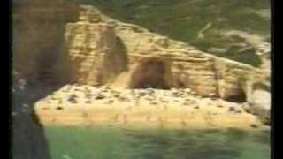 Algarve Cruises  Vilamoura Albufeira Carvoeiro Caves [upl. by Nassi184]