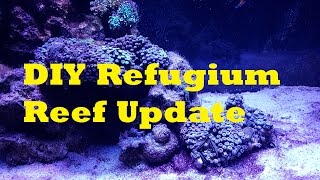 DIY Hang On Back Refugium [upl. by Helsell]