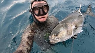 Así Pesqué Estos Peces Gigantes Con Arpón  Pesca Submarina [upl. by Nagorb110]