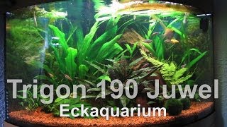 Juwel  Trigon 190  Eckaquarium  Süßwasser  Tank [upl. by Giraldo]