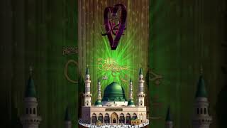 12 Rabi ul avval ki video 🥰🥰☺️🤲 love unfrezzmyaccount please 🙏 [upl. by Euqinoj]