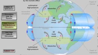 Global Atmospheric Circulation [upl. by Aelanej]