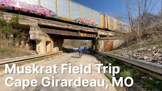 Muskrat Bikepacking Field Trip  Cape Girardeau MO [upl. by Zirkle]