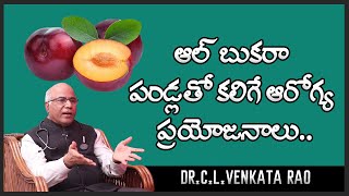 Albakara Fruit Benefits  Dr CL Venkata Rao  Shri Tv Doctor [upl. by Tatiana]