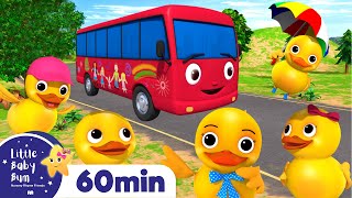 5 Little Ducks On A Bus  More  Babies Learn English  LBB Nursery Rhymes [upl. by Giovanna]