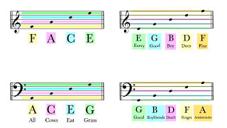 How To Read Notes On The Staff  EASY  Music Theory Tutorial [upl. by Llerrac]