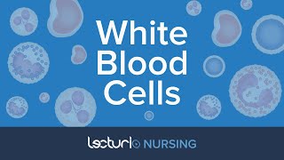 White Blood Cells The 5 WBC Types Reference Ranges amp Functions  Pathophysiology  NCLEX Prep [upl. by Aryaz702]