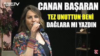 Canan Başaran l Tez Unuttun Beni Dağlara mı Yazdın [upl. by Elene]