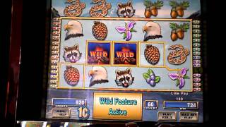 Cascade Mountain slot machine bonus win at the Borgata Casino [upl. by Patnode855]