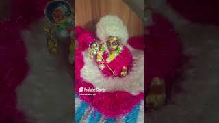 Jaha viraje shish ka daani trending love govindgopal07 [upl. by Budge]