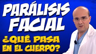 PARÁLISIS FACIAL PARÁLISIS DE BELL  ¿Qué pasa dentro del cuerpo de quienes la padecen [upl. by Tena]