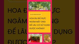 Hoa đu đủ đực ngâm mật ong để lâu có sử dụng được hay không [upl. by Dremann]