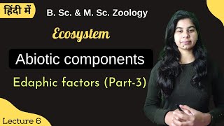 Ecosystem  Abiotic components Part3  EDAPHIC FACTORS  B Sc amp M Sc  Zoology [upl. by Atikehs]