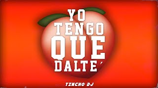 YO TENGO QUE DALTE  Tincho Dj EXTENDED [upl. by Aseyt477]