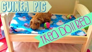 Guinea Pig IKEA Doll Bed [upl. by Kay]