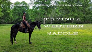 Standardbred Retraining Vlog introducing a western saddle [upl. by Mccoy582]