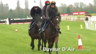 Fighting Fifth Hurdle Buveur DAir [upl. by Ellord]