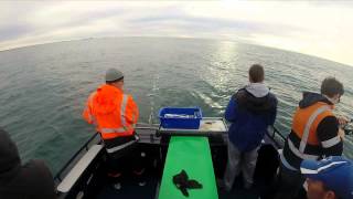 Whyalla Fishing Charters Snapper Session Pannies and a Big Red [upl. by Broome333]