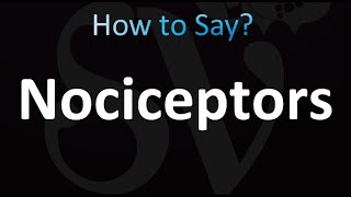 How to Pronounce Nociceptors correctly [upl. by Mikah401]