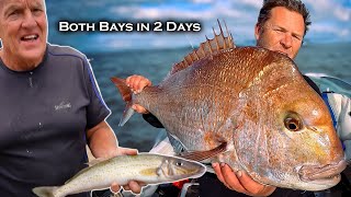 Ultimate Fishing Adventure Snapper amp King George Whiting Bonanza in Two Bays [upl. by Ennove]