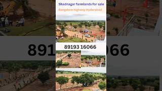 Shadnagar farmlands farmland for sale in shadnagar Hyderabad agricultural land in shadnagar [upl. by Wood404]