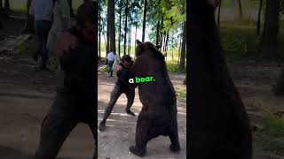 Can a boxer beat a bear [upl. by Matty]