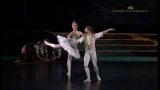 Conrad and Medora Pas de deux Act 1 in Le Corsaire  Denys Cherevychko [upl. by Jestude170]