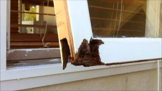 fix wood rot on window framewmv [upl. by Wharton]