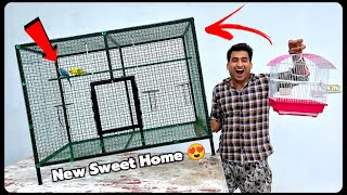 Homemade Birds Cage 😍 Ye Jaal Nahi Poora Jungle Hai Itna Kharcha Aaya 🤑 [upl. by Nnaassilem]