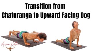 Transition from Chaturanga to Upward Facing Dog Asana Kitchen David Garrigues Ashtanga Yoga [upl. by Anerres]