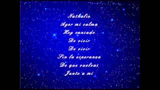 Julio Iglesias  Nathalie with lyrics on screen [upl. by Ahsenyl]