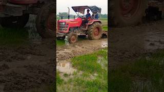 new mahindra 575 tractor amazing videos [upl. by Assennav982]