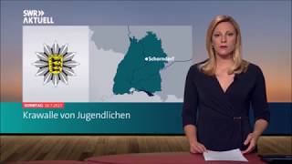 1000 quotjunge Menschenquot randalieren auf KleinstadtVolksfest [upl. by Ecnarret]