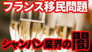 【欧州経済】フランスのシャンパン業界！移民労働に支えられた業界の闇！ [upl. by Eindys863]