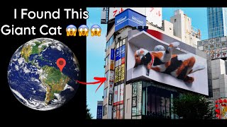 Shinjuku 3D Billboard Giant Cat On Google Earth 🐈😱 [upl. by Enavi]