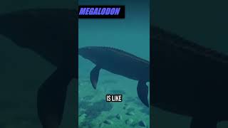 MEGALODON vs MOSASAURUS  Jurassic World Evolution 2 Size Comparison JurassicWorld [upl. by Annwahsal260]