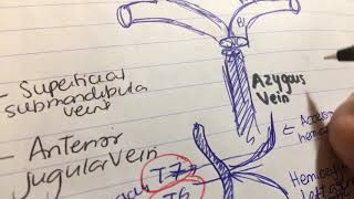 Brachiocephalic vein Vs azygous vein Internal jugular vein [upl. by Hayilaa]