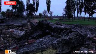 ᴴᴰ Die AuschwitzÄrzte des Todes  Doku24HD [upl. by Noyerb]