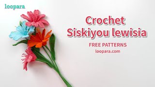 Crochet Siskiyou Lewisia Flower  Free Pattern [upl. by Adaj]