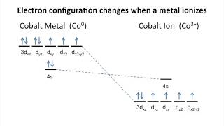 Transition Metal Ions amp Ionic Radii [upl. by Assital]