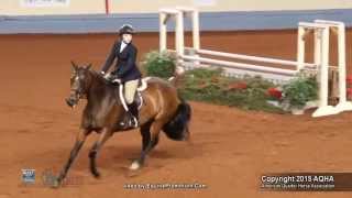 A Judges Perspective 2015 AQHYA Equitation Over Fences World Champion [upl. by Etessil]