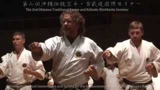 The 2nd Okinawa Traditional Karate and Kobudo Worldwide Seminar 2014 [upl. by Aihcrop]