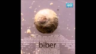 Biber  Sitan Biber feat Miki Peric audio 2004 [upl. by Sharma986]