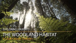 The Woodland Habitat  Exploring Habitats [upl. by Ikuy316]