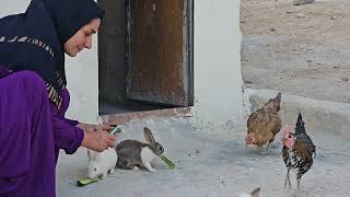 Nomadic Life of Bakhtiari Families in Karun [upl. by Aimil]