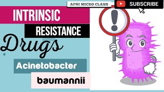 Intrinsic resistant Antibiotics  Acinetobacter baumannii  A baumannii Treatment [upl. by Ariuqahs978]